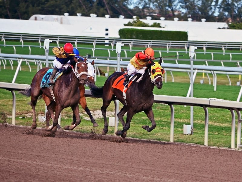 Sunland Park Racetrack and Casino